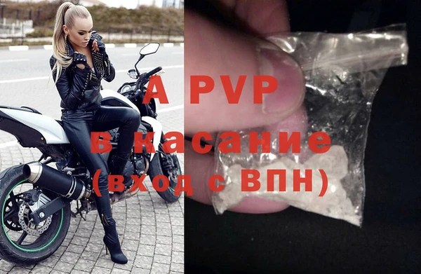 хмурый Нея