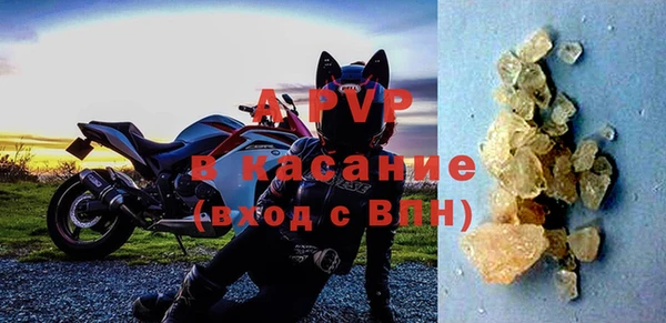 хмурый Нея
