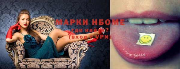 хмурый Нея