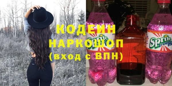 хмурый Нея